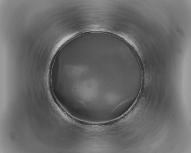 X0000113051333200909101931