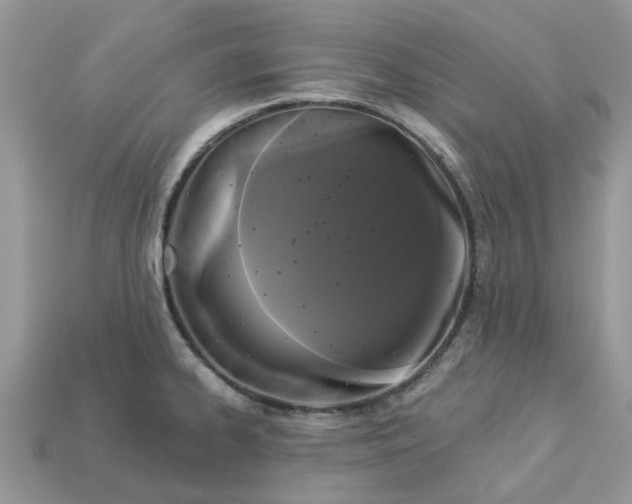 X0000113051334200909101931