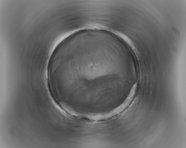 X0000113051335200909101931