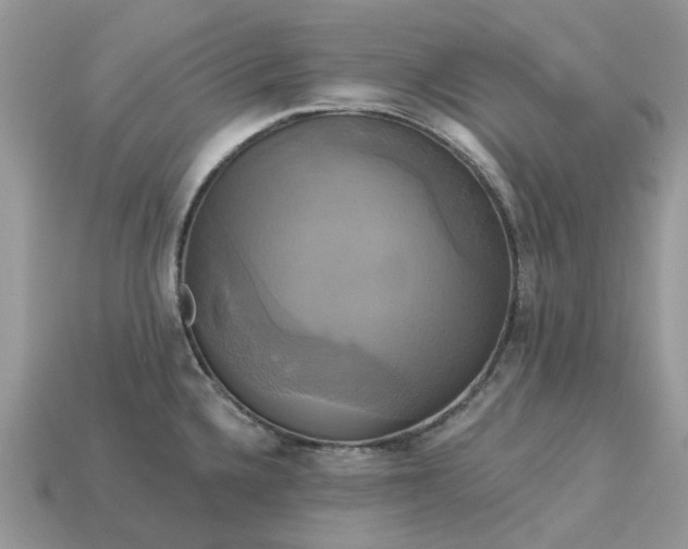 X0000113051336200909101931