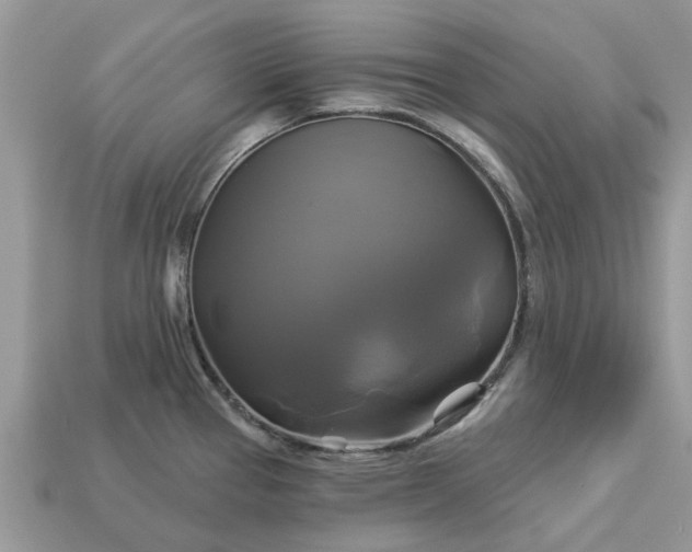 X0000113051337200909101931