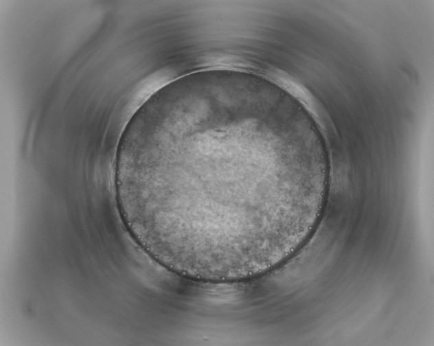 X0000113051338200909101931