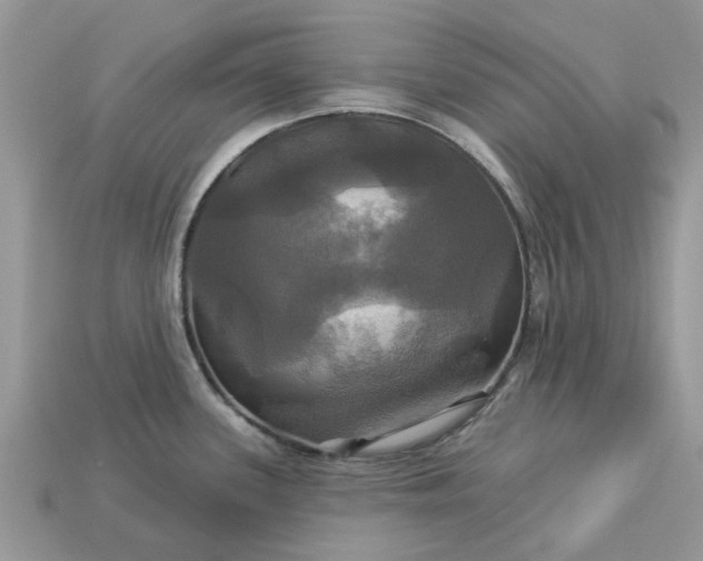 X0000113051339200909101931