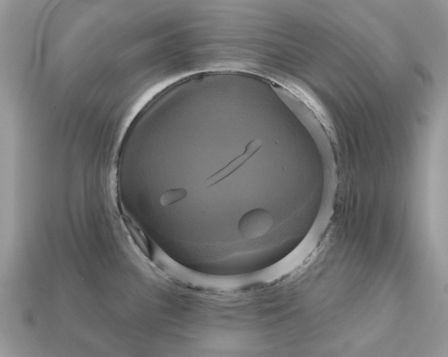 X0000113051340200909101931