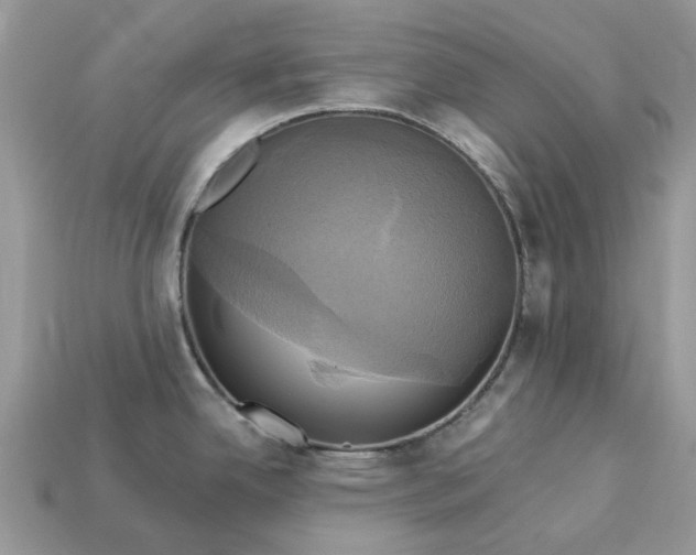 X0000113051342200909101931