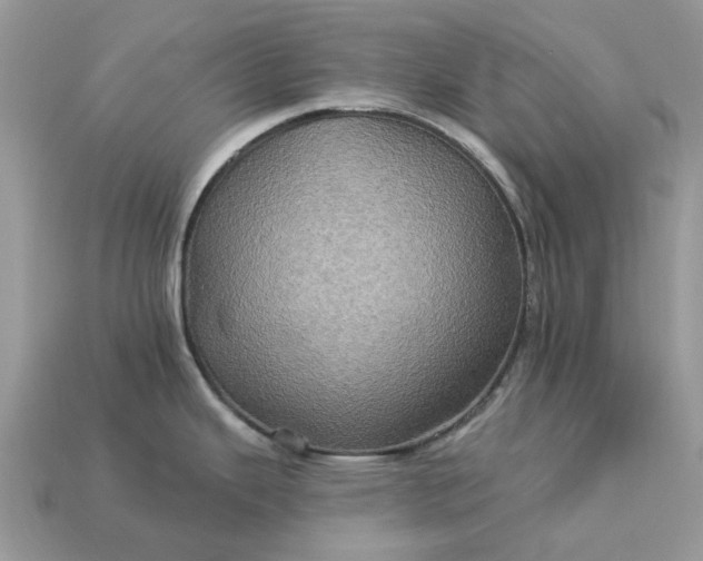 X0000113051343200909101931