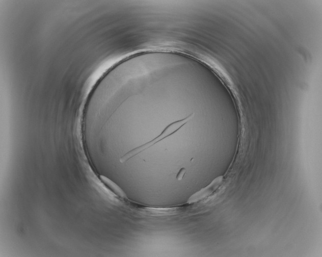 X0000113051344200909101931