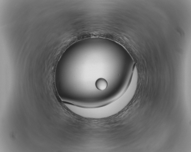 X0000113051345200909101930