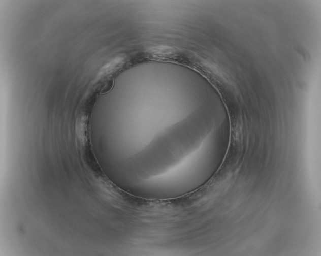 X0000113051346200909101930