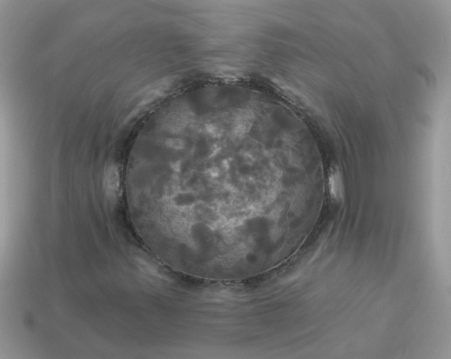 X0000113051347200909101930