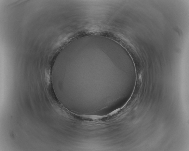 X0000113051348200909101930