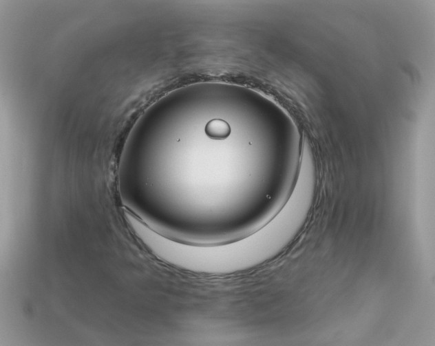 X0000113051349200909101930