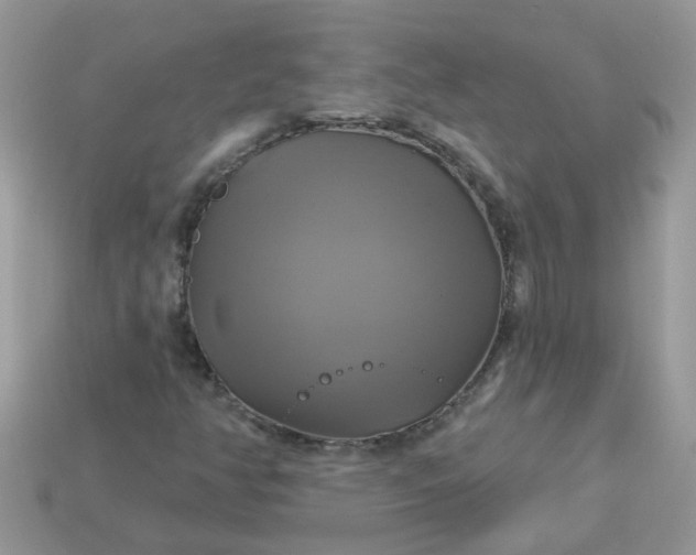 X0000113051350200909101930