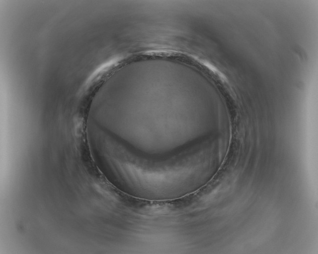 X0000113051351200909101930