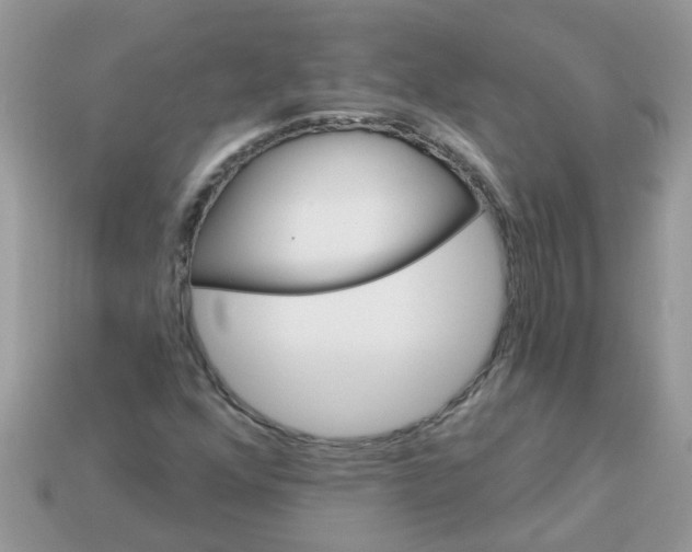 X0000113051352200909101930