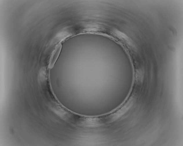 X0000113051353200909101930