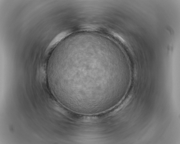 X0000113051354200909101930