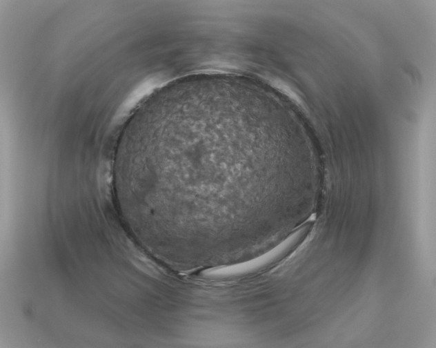 X0000113051355200909101930