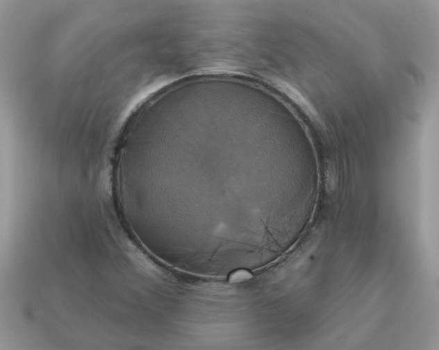 X0000113051356200909101930