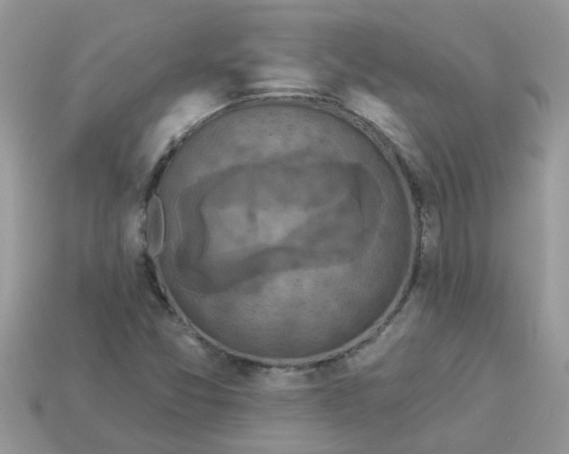 X0000113051357200909101930