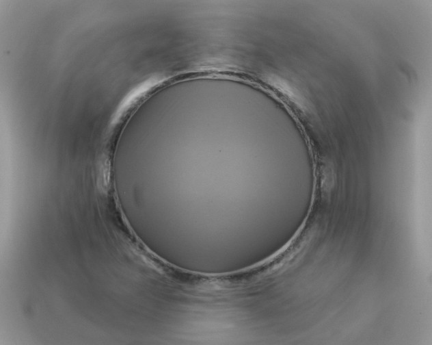 X0000113051358200909101930