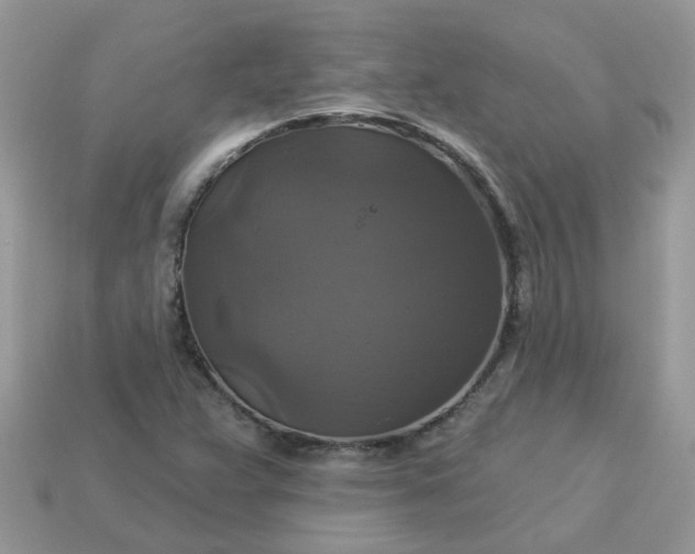 X0000113051359200909101930