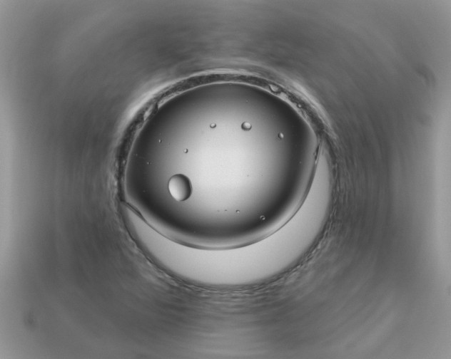 X0000113051360200909101930