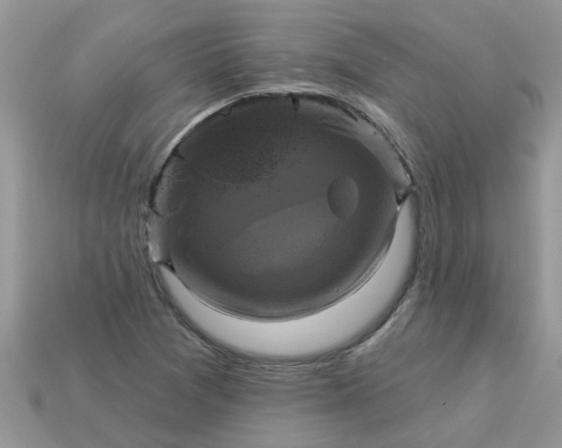 X0000113051361200909101930