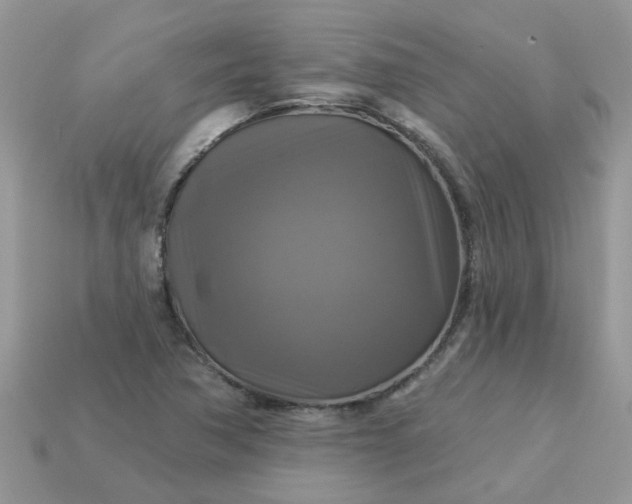 X0000113051362200909101930