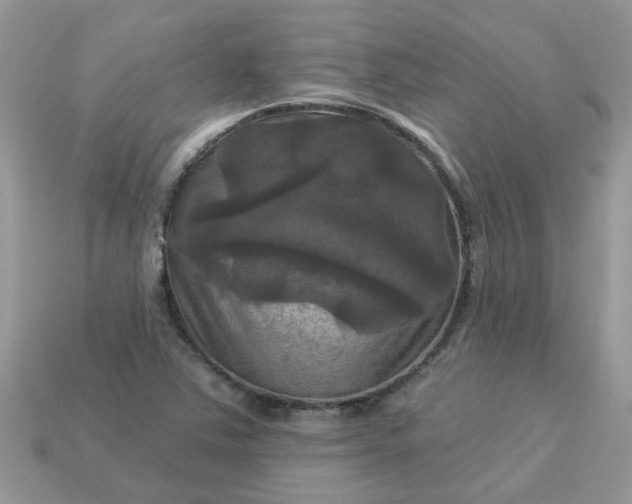 X0000113051363200909101930