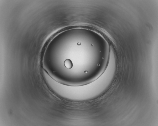 X0000113051364200909101930