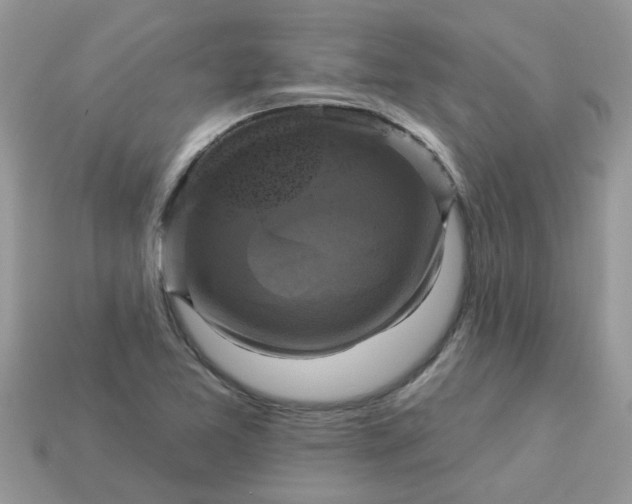 X0000113051365200909101930