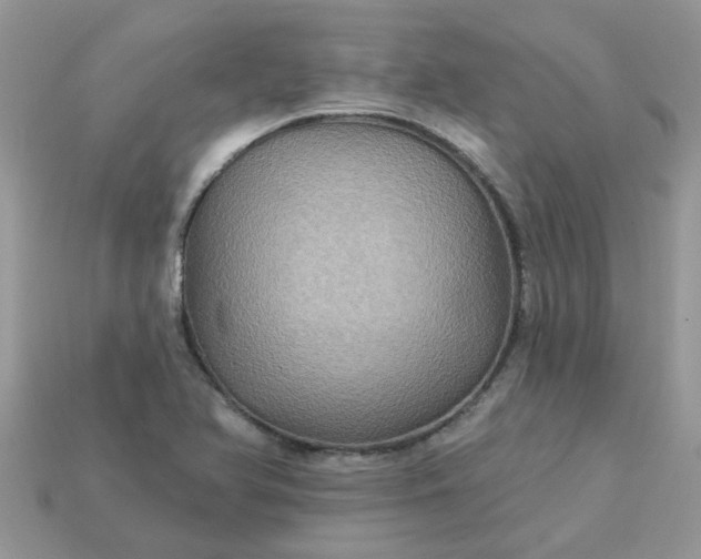 X0000113051366200909101930