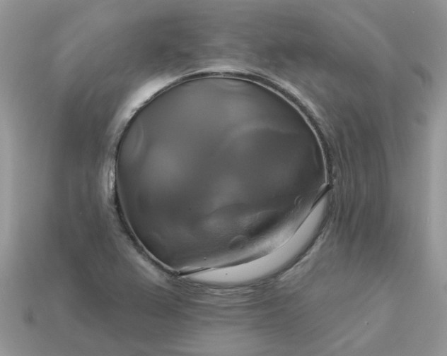 X0000113051367200909101930