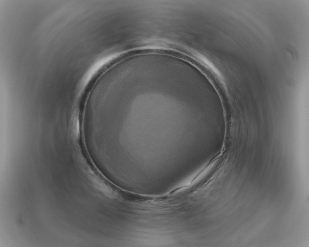 X0000113051368200909101930