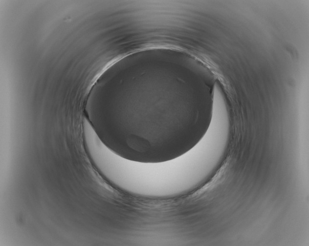 X0000113051369200909101930