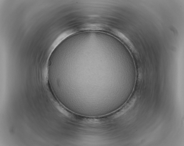 X0000113051370200909101930