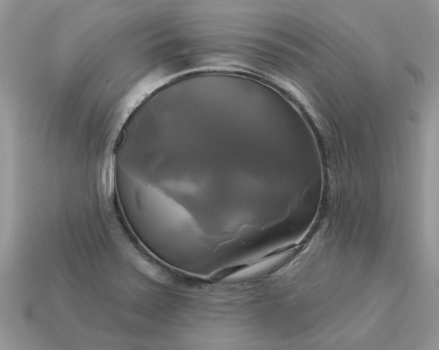 X0000113051371200909101930