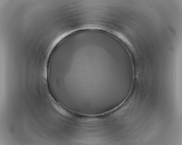 X0000113051372200909101930