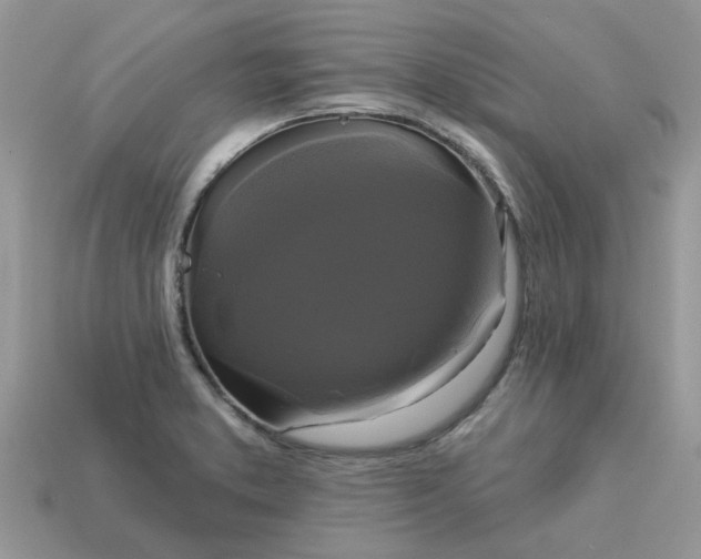 X0000113051373200909101930