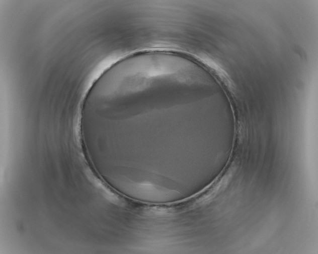 X0000113051374200909101930