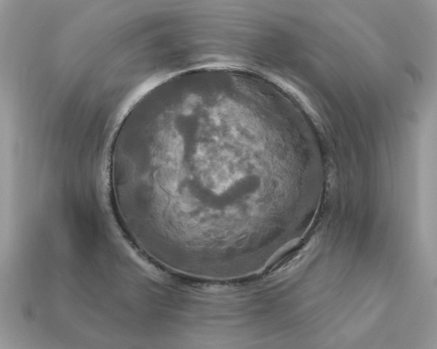 X0000113051375200909101930