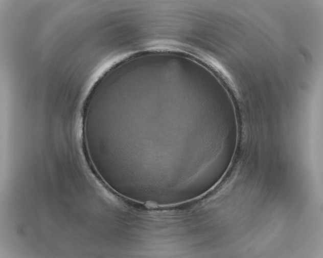 X0000113051376200909101930