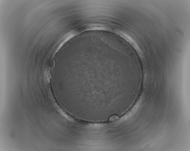 X0000113051377200909101930