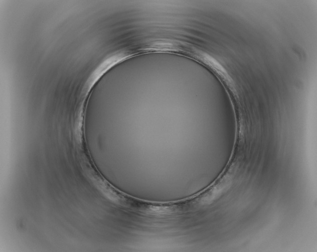 X0000113051378200909101930