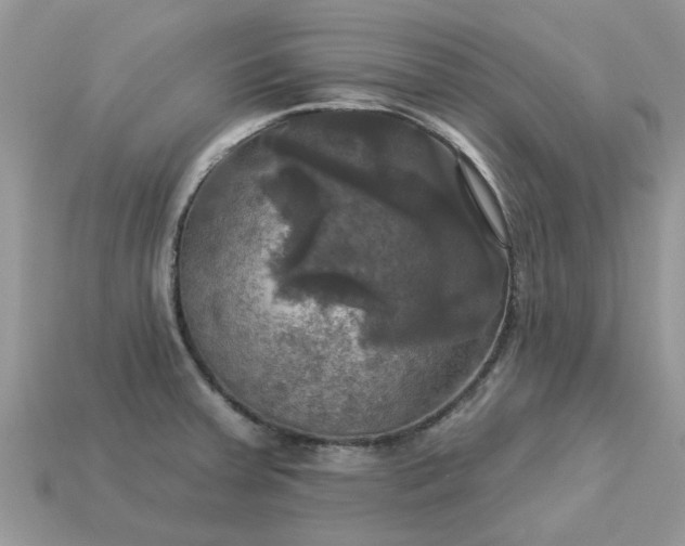 X0000113051379200909101930