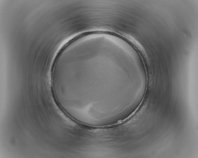 X0000113051380200909101930