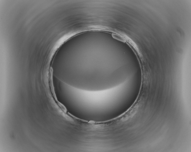 X0000113051381200909101930