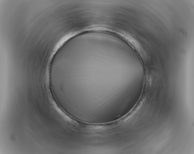 X0000113051382200909101930