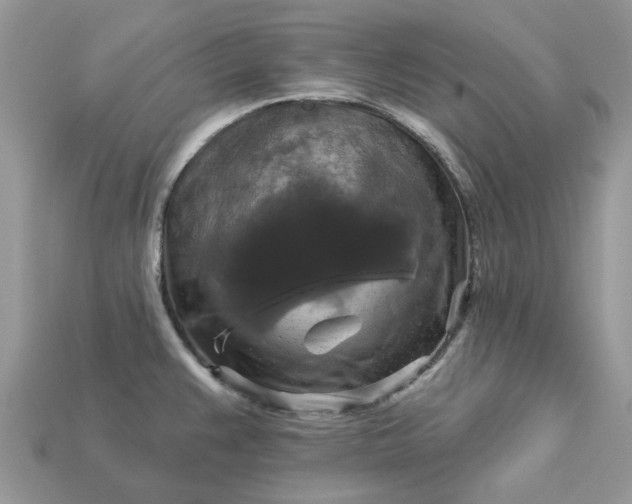 X0000113051383200909101930